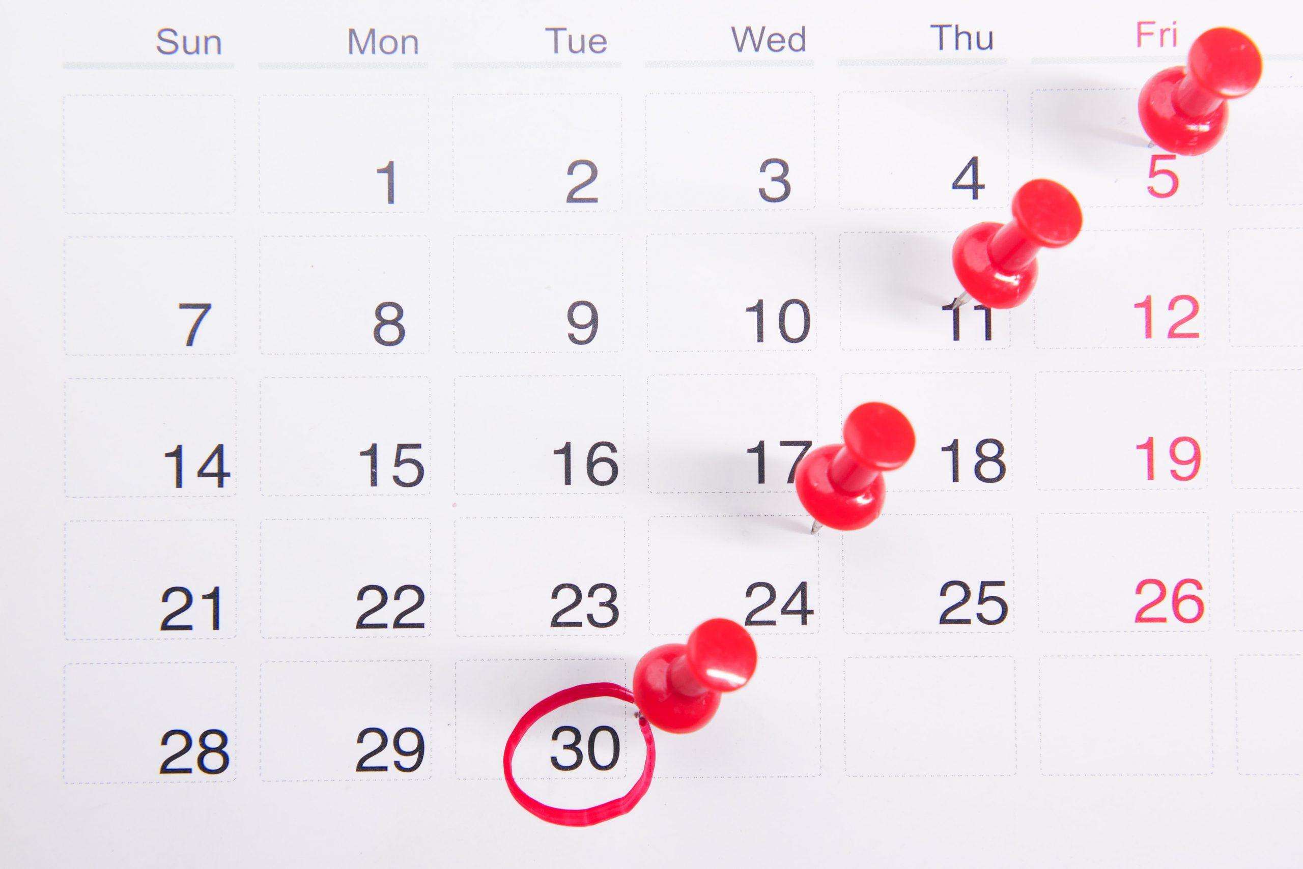 Push pins and a red circle marking specific calendar days 5, 11, 24, and 30