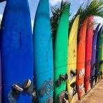 Colorful surfboards in a row in Paia Maui