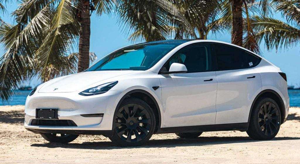 Model Y on the beach in front of palm trees