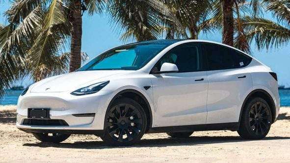 Model Y on the beach in front of palm trees