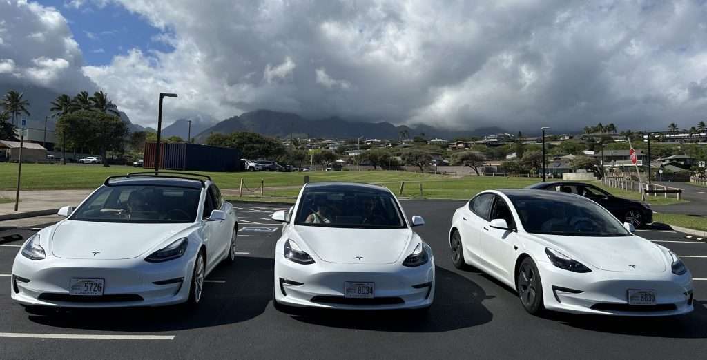 Some of the Maui EVs Tesla Model 3s lined up