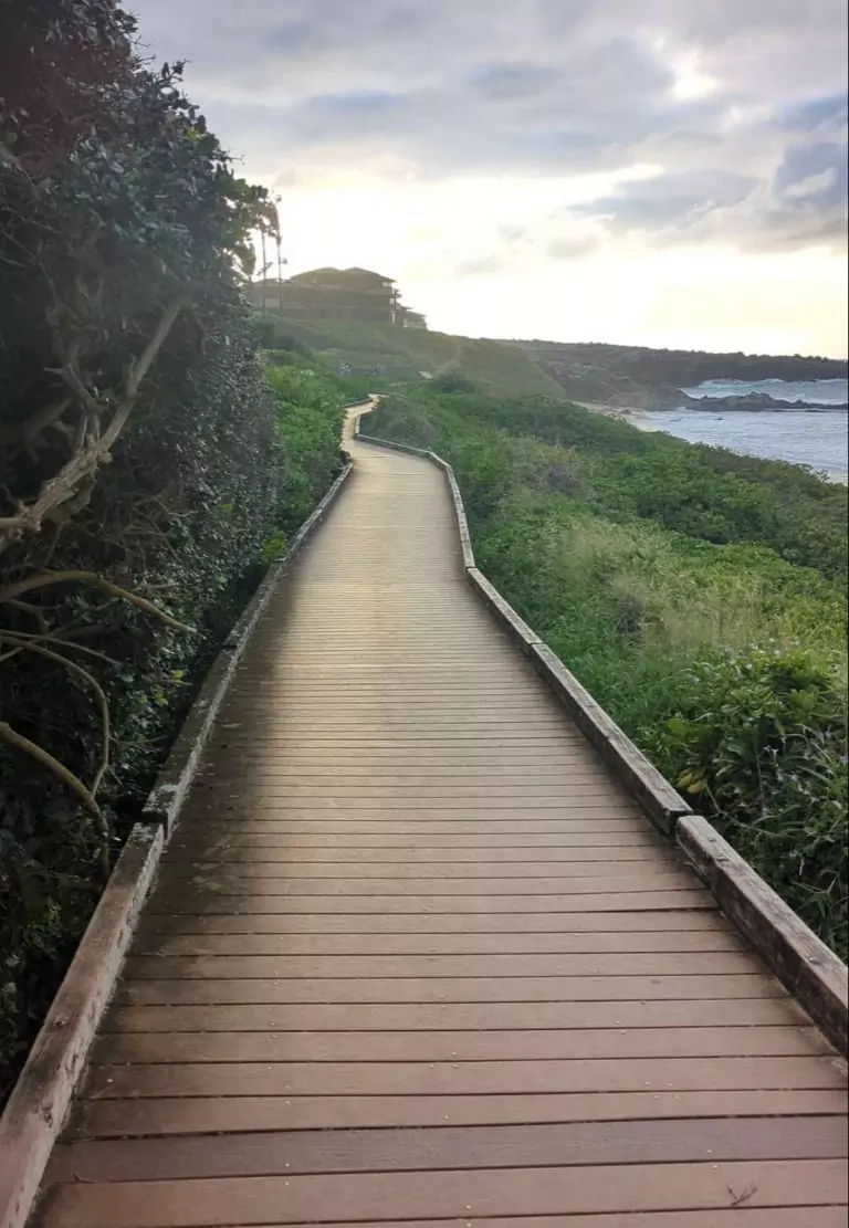 Kapalua Coastal Trail boardwalk