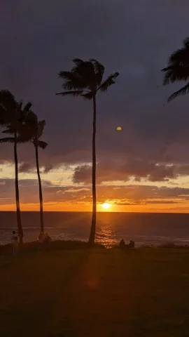 Sunset behind some palm trees along the Kapalua Coastal Trail